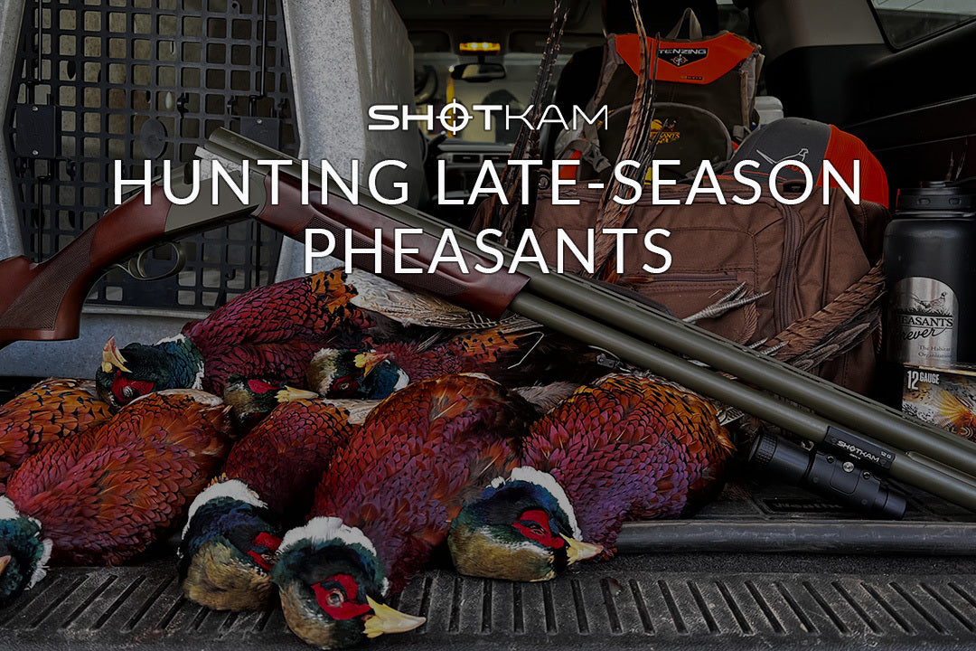 Hunting LateSeason Pheasants UK Strategies ShotKam UK