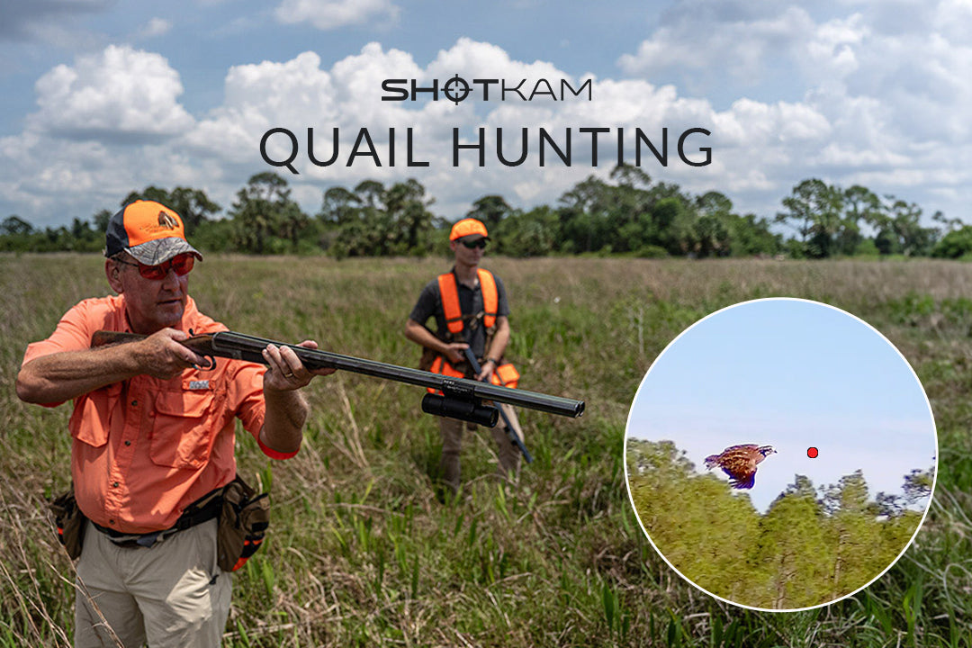 Quail hunting in the UK: Experienced hunter aiming with a ShotKam-equipped shotgun, capturing the moment of a quail in flight.