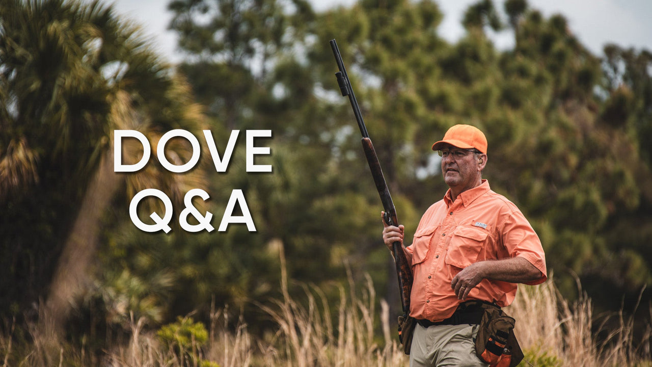 Dove hunting Q&A thumbnail featuring David Stewart in orange hunting gear with his shotgun held upright.