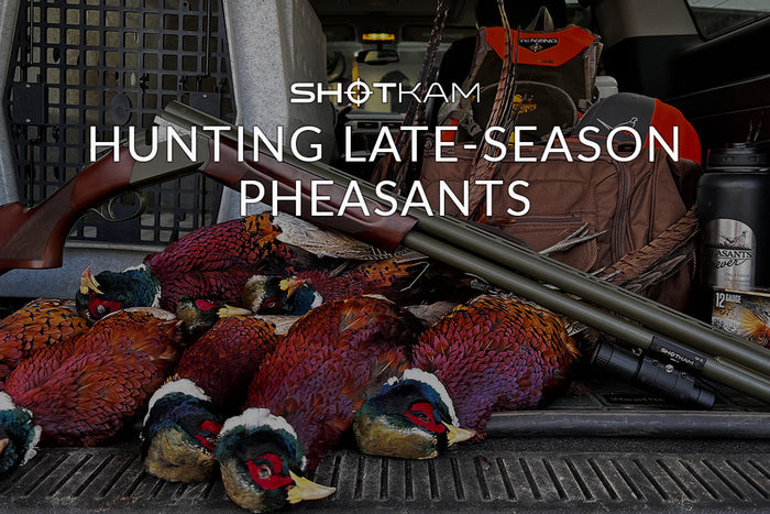 ShotKam-equipped shotgun resting among a successful late-season pheasant hunt, with gear and harvested birds in the back of a vehicle.
