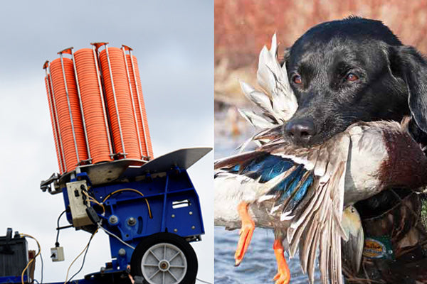 Master Sporting Clays: Conquer Rabbits with Confidence | ShotKam UK